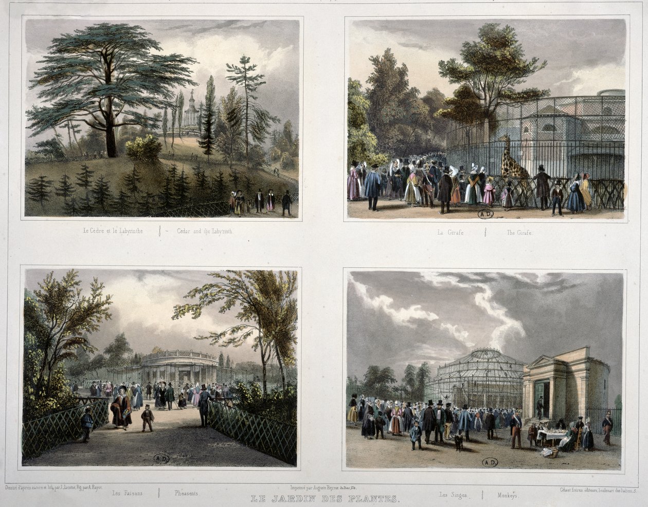 Le Jardin des Plantes à Paris : Cèdre et le Labyrinthe, La Girafe, Faisans, Singes - Jean Jacottet