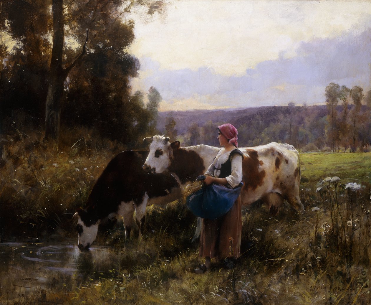 Vaches à l
