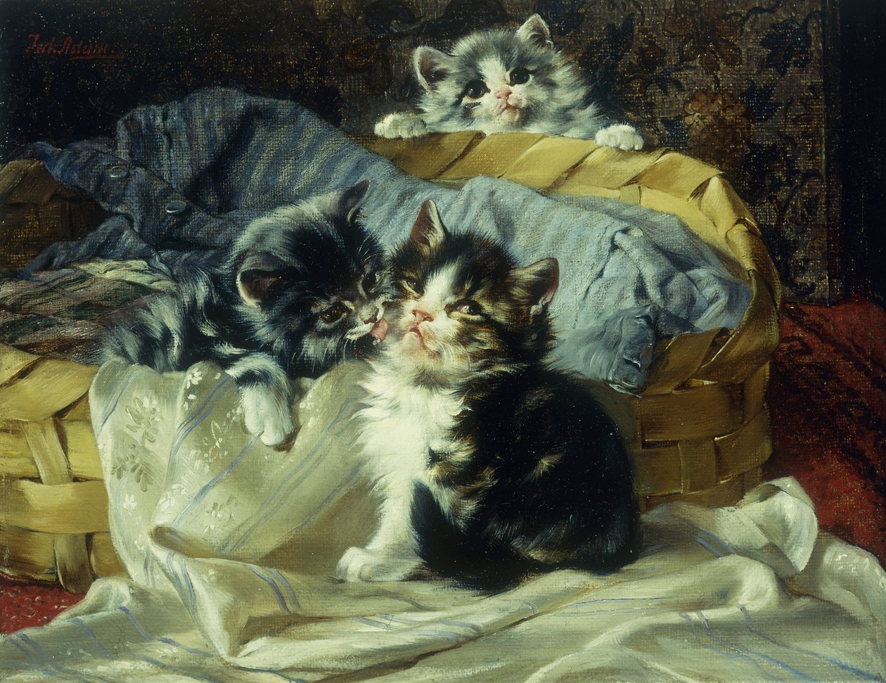 Chatons Joueurs - Julius Adam