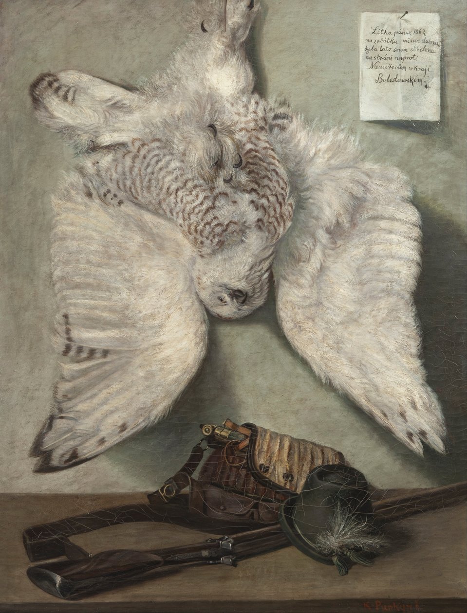 Harfang des neiges - Karel Purkyne