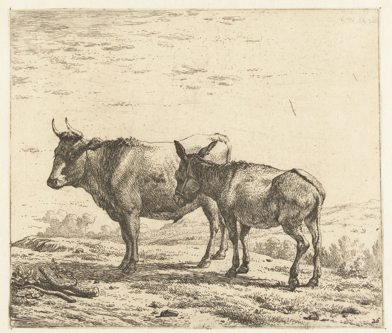 Bœuf et un âne - Karel Du Jardin