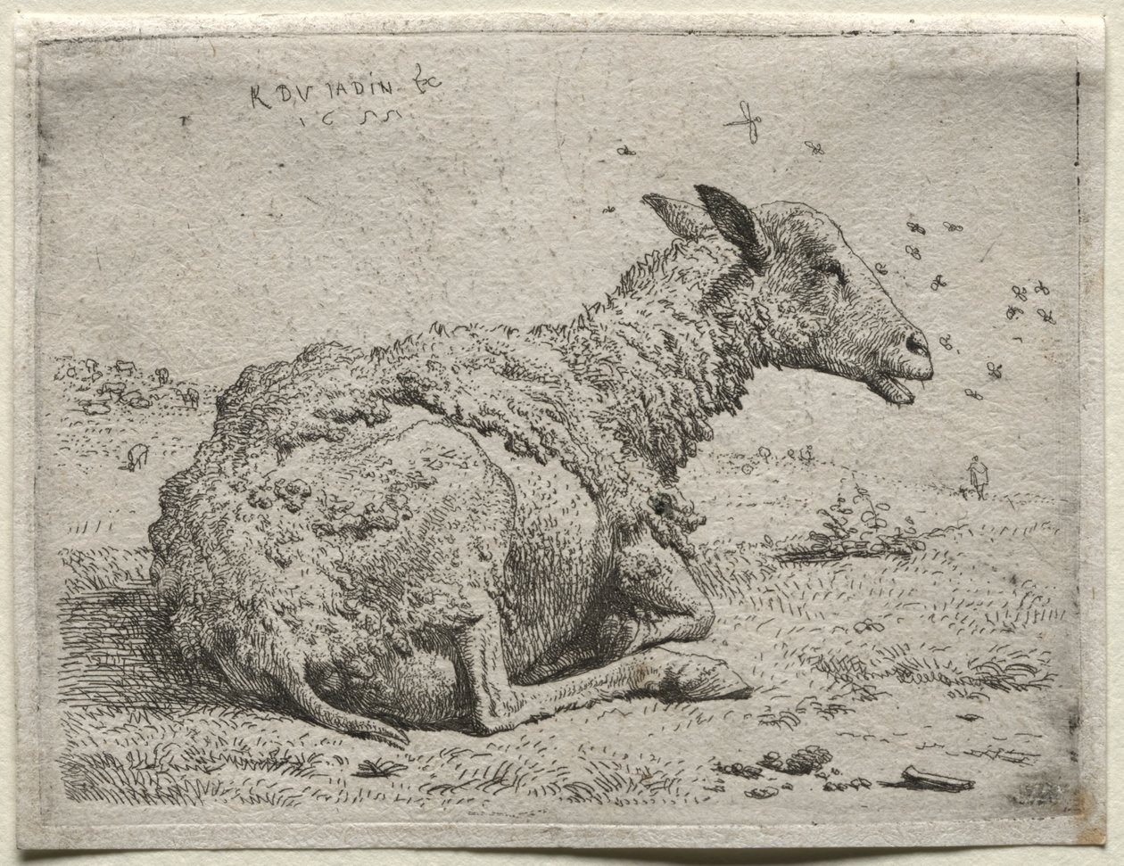 Le mouton et les mouches - Karel Dujardin
