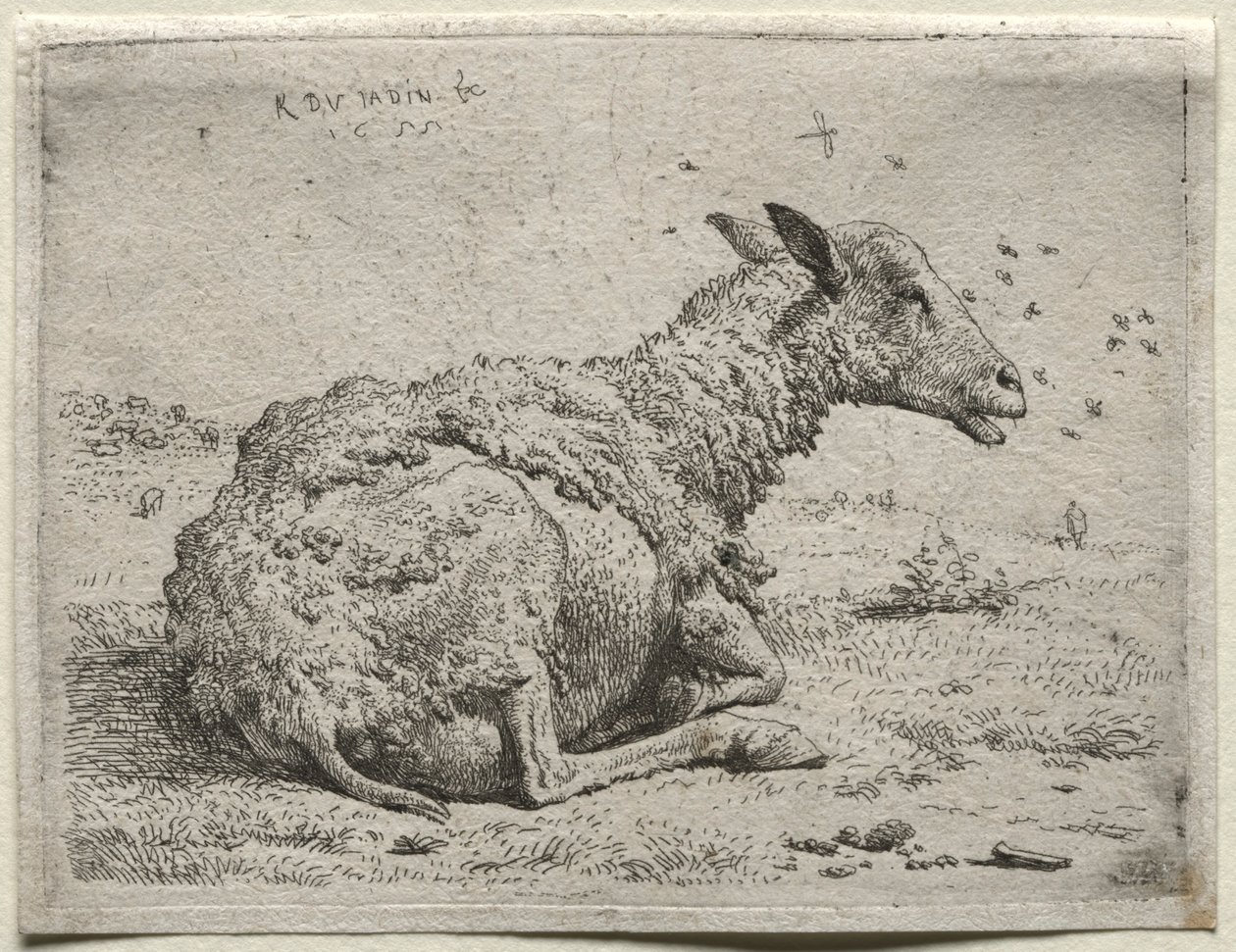 Les moutons et les mouches - Karel Dujardin