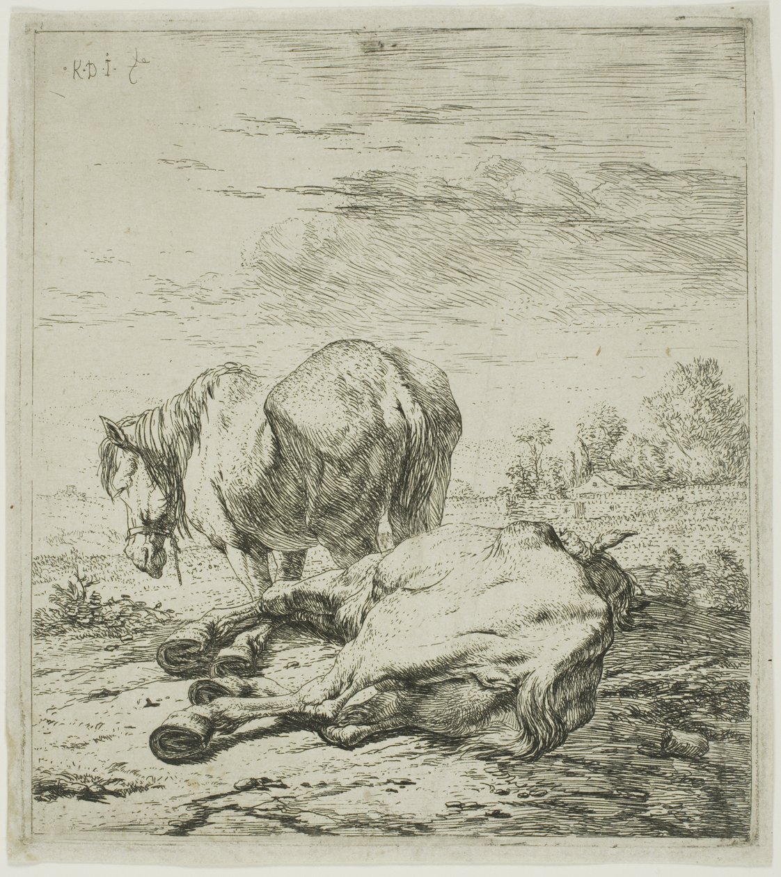 Deux chevaux - Karel Dujardin