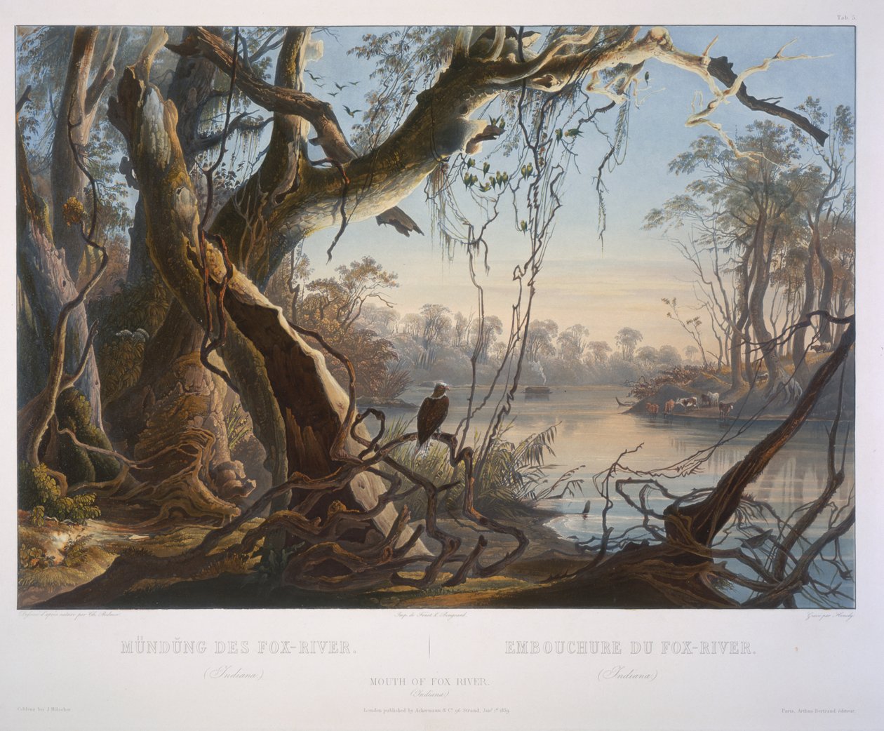 Embouchure de la rivière Fox (Indiana) - Karl Bodmer