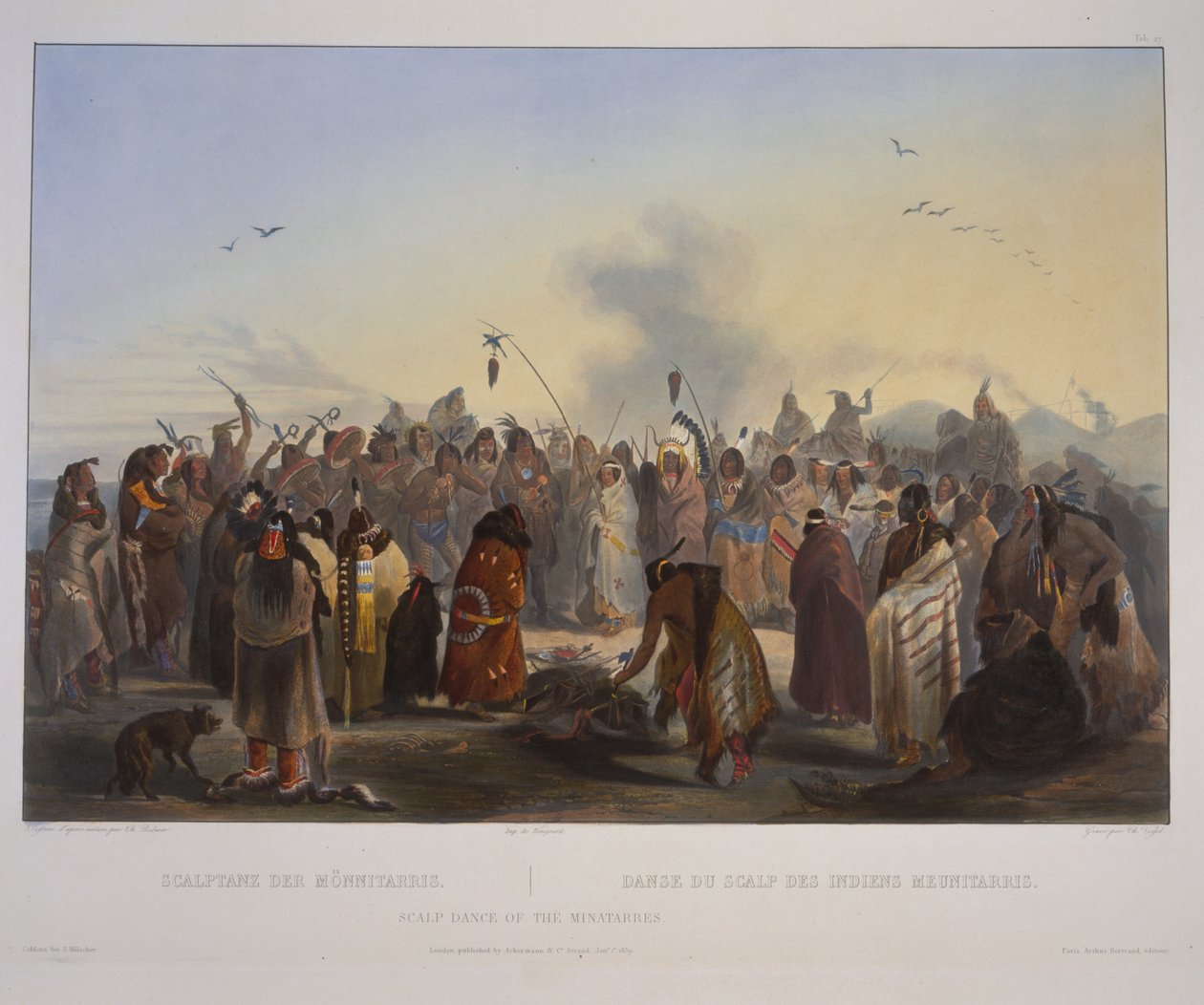 Danse du scalp des Minatarres - Karl Bodmer