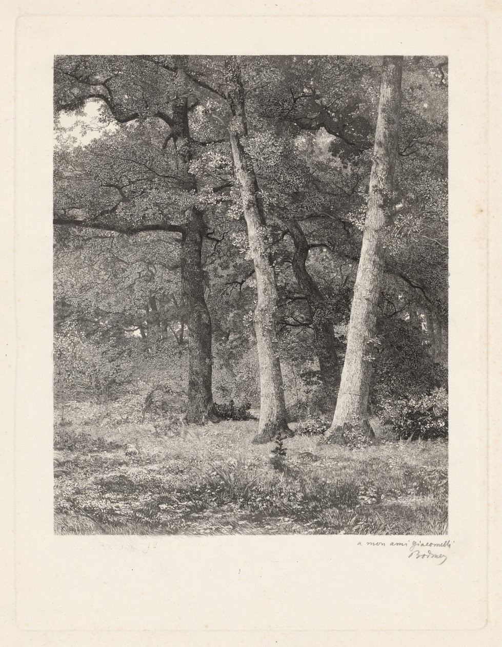 Une clairière forestière - Karl Bodmer