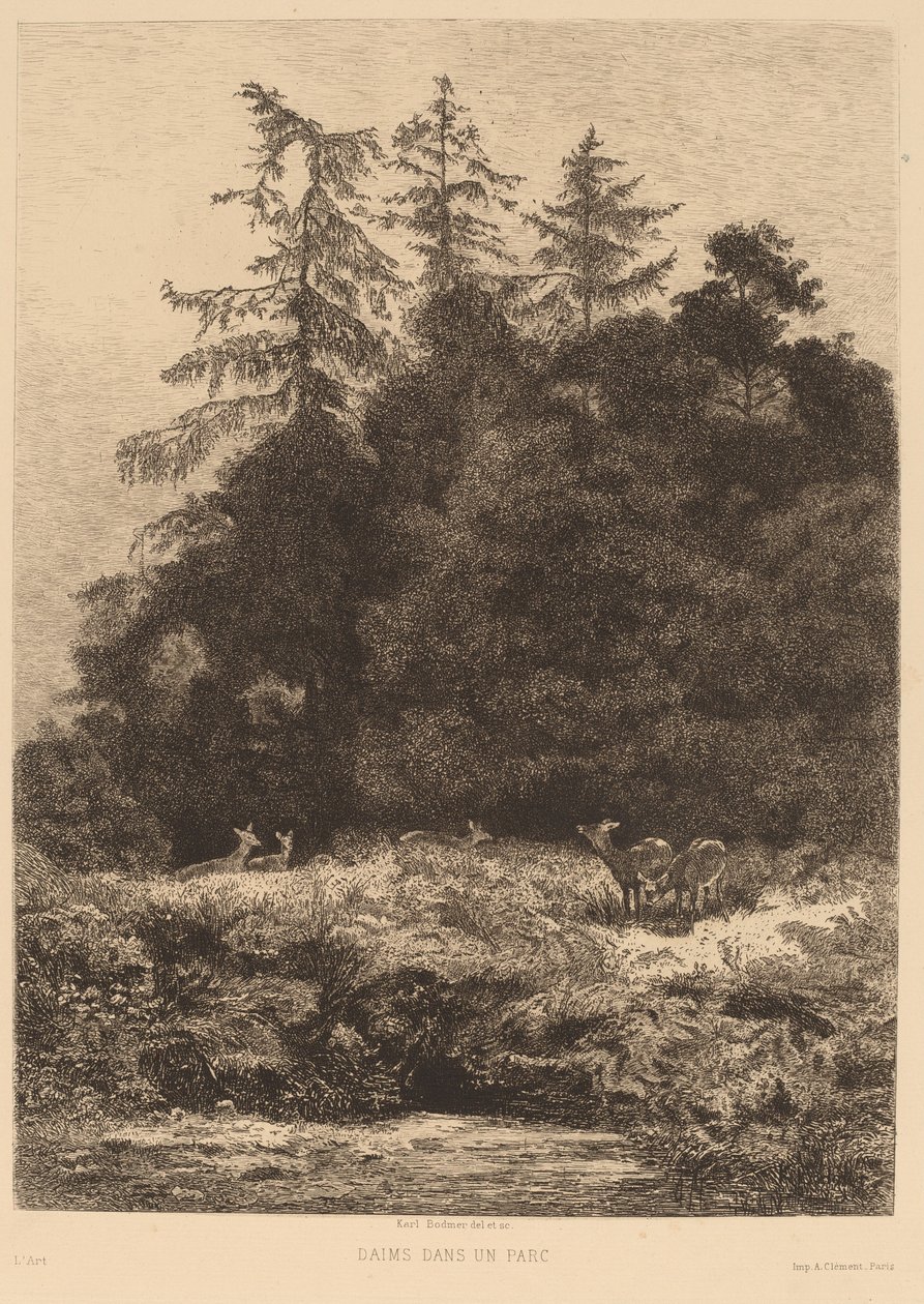 Daims dans un parc - Karl Bodmer