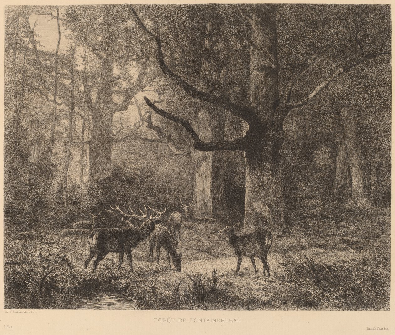 Forêt de Fontainebleau - Karl Bodmer