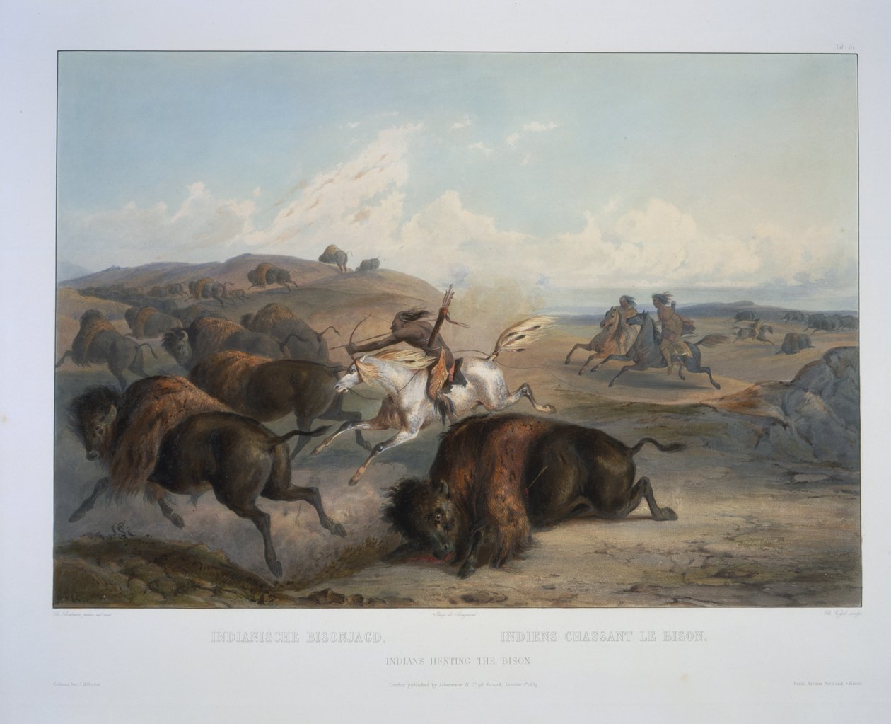 Indiens chassant le bison - Karl Bodmer