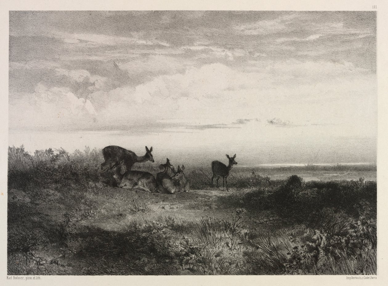 Paysage avec des cerfs, vers 1840 - Karl Bodmer