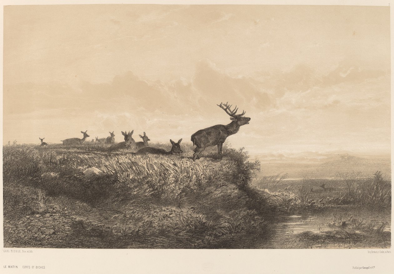 Le Matin - Karl Bodmer