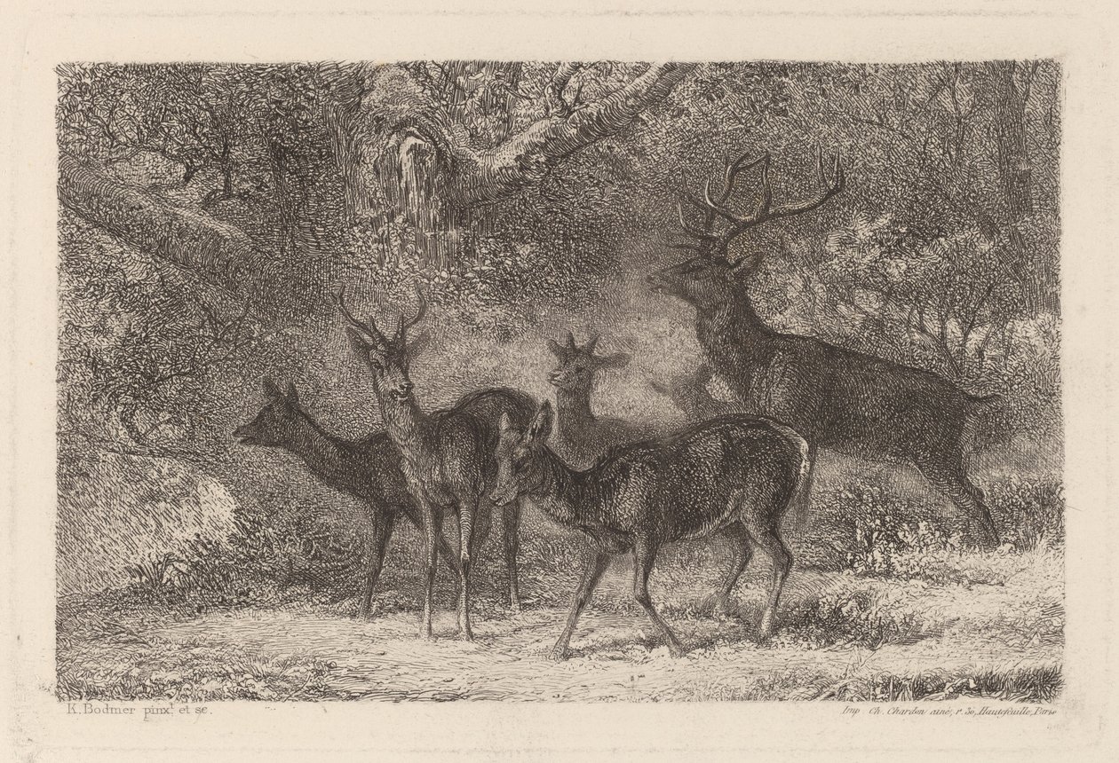 Le harde - Karl Bodmer