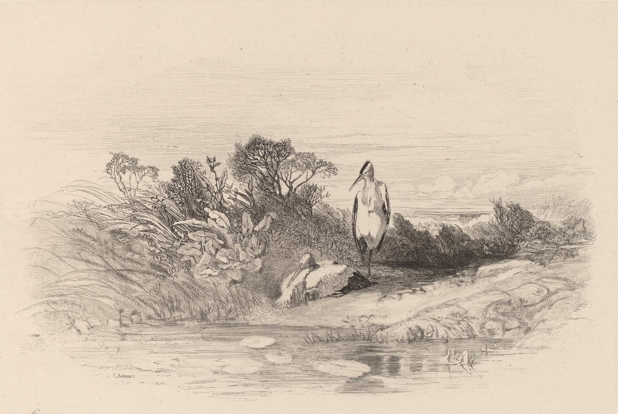 Les Deux Hérons - Karl Bodmer