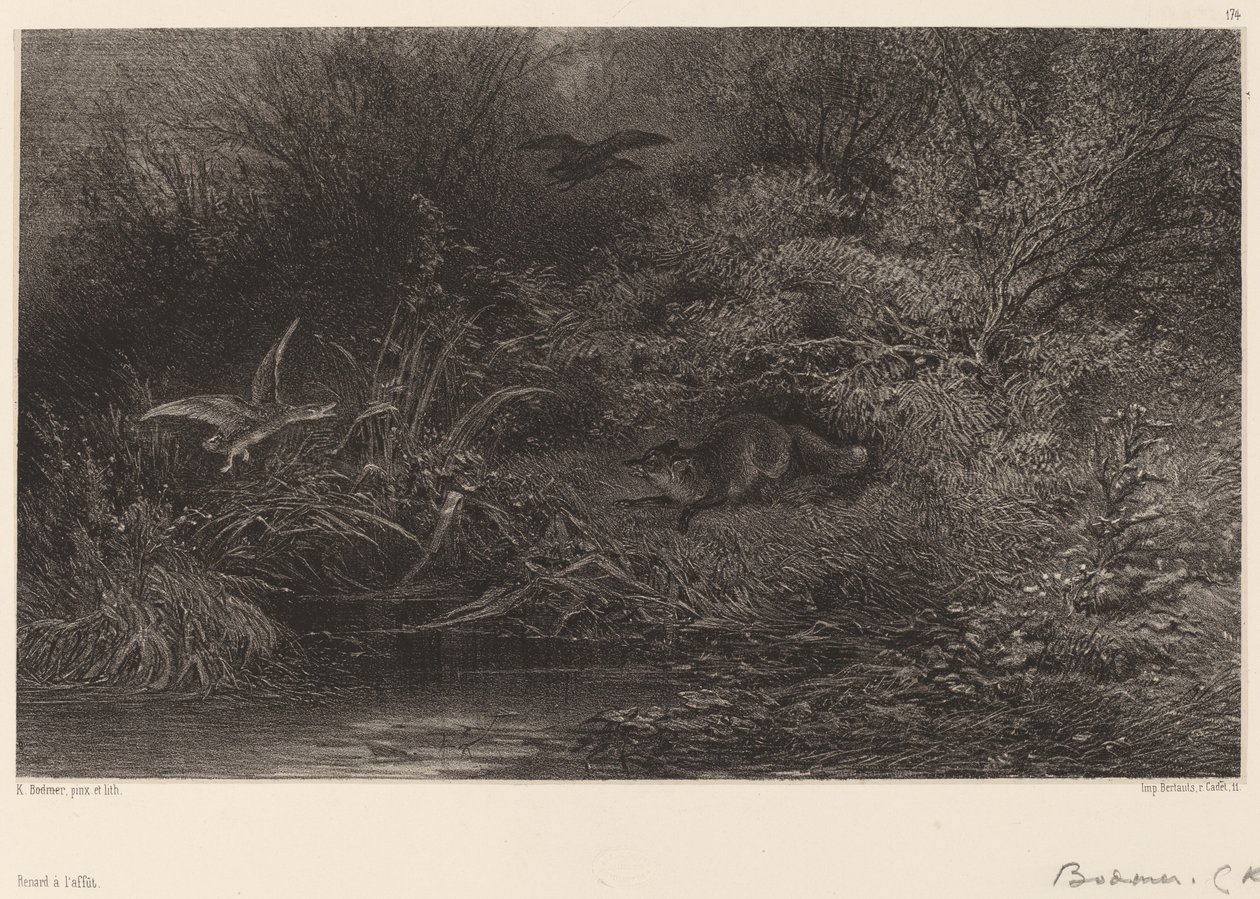 Renard à l