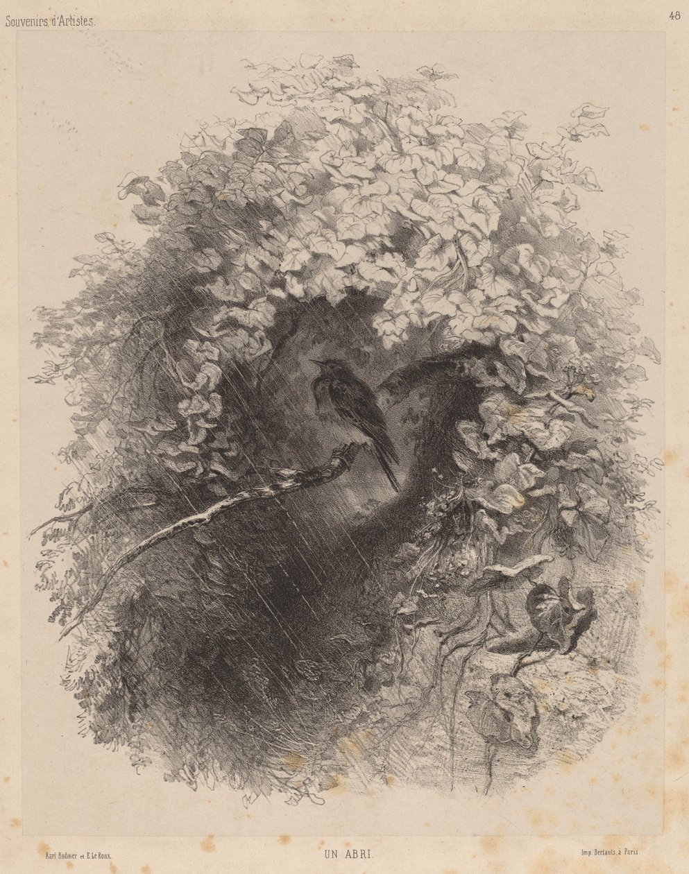 Un abri - Karl Bodmer