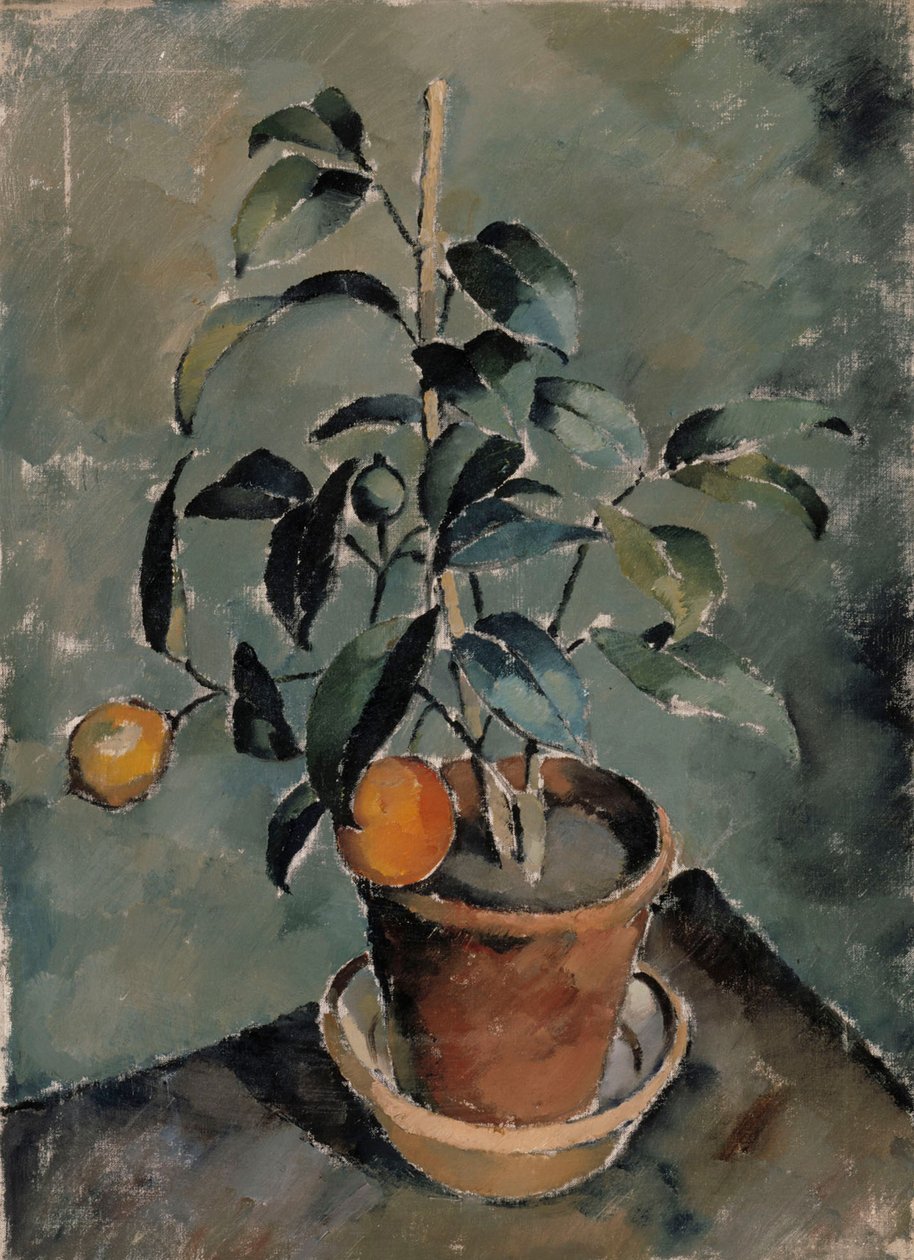 Orange Plant - Karl Isakson