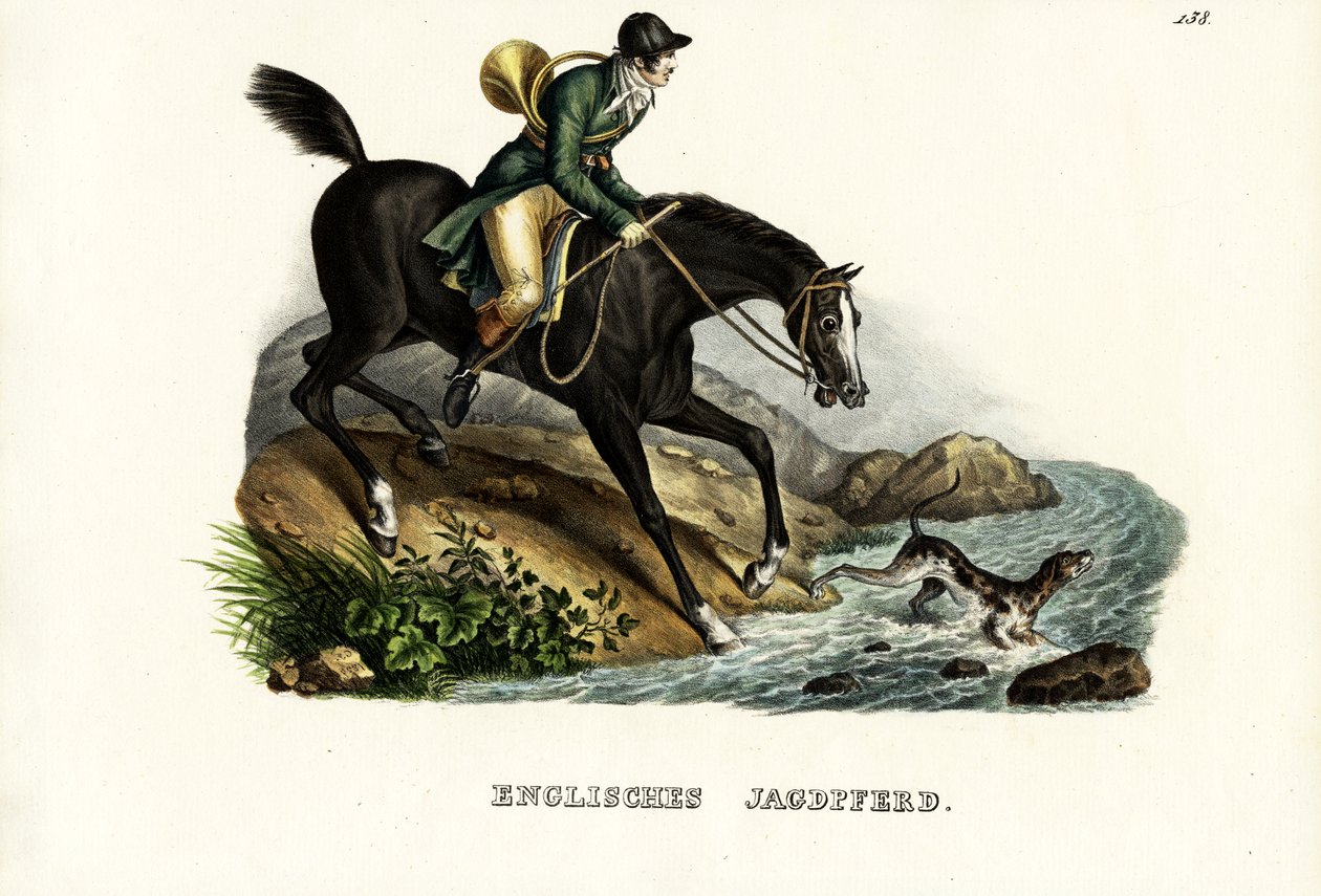Cheval de chasse anglais, 1824 - Karl Joseph Brodtmann
