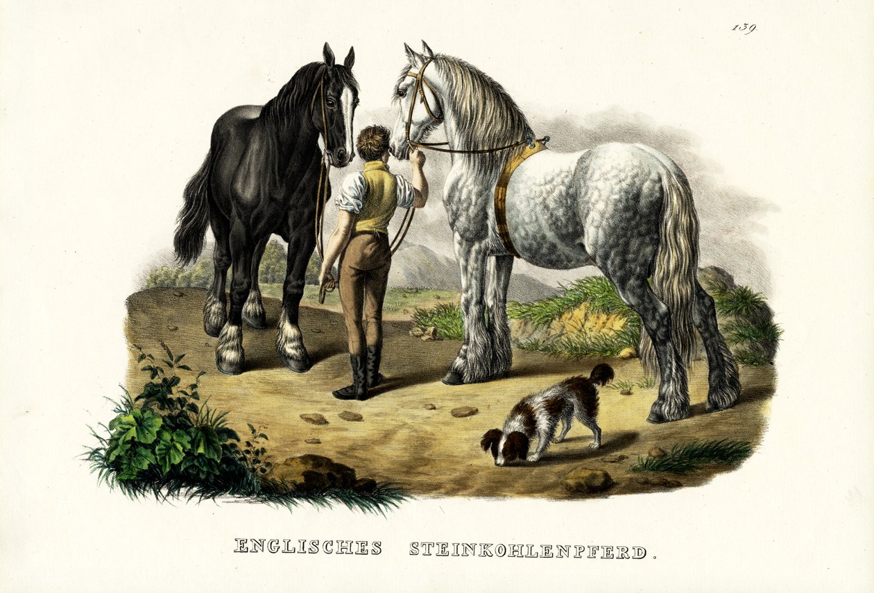 Cheval de fosse anglais, 1824 - Karl Joseph Brodtmann