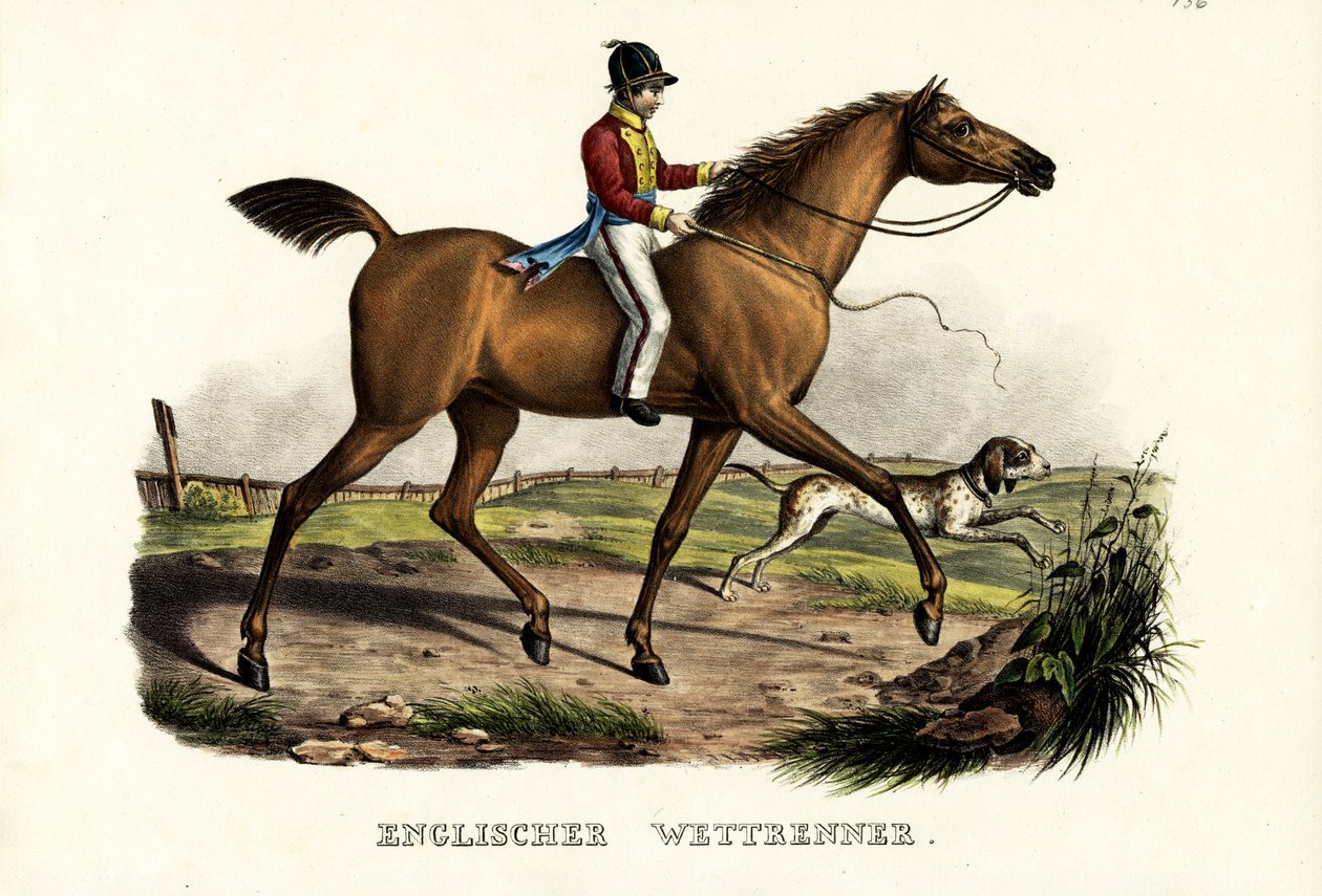 Cheval de course anglais, 1824 - Karl Joseph Brodtmann