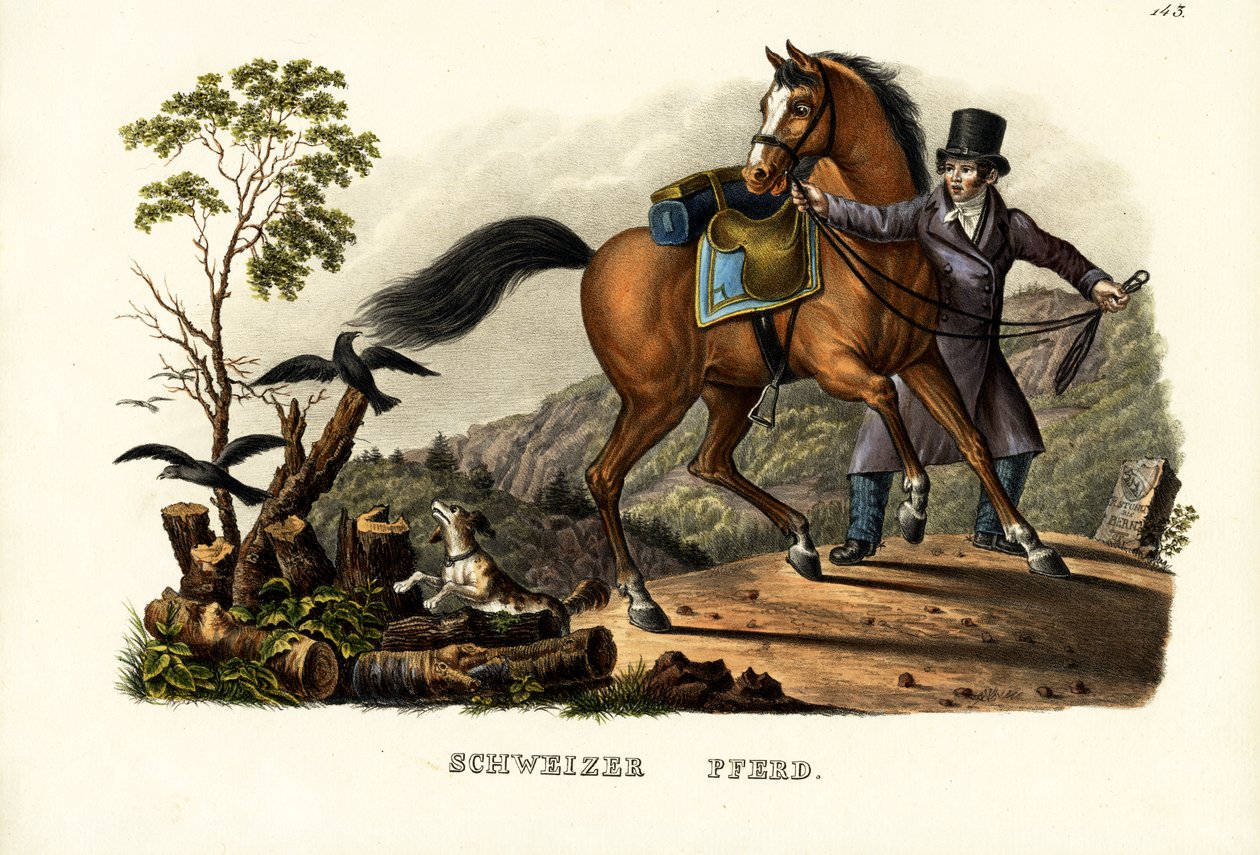 Cheval suisse, 1824 - Karl Joseph Brodtmann