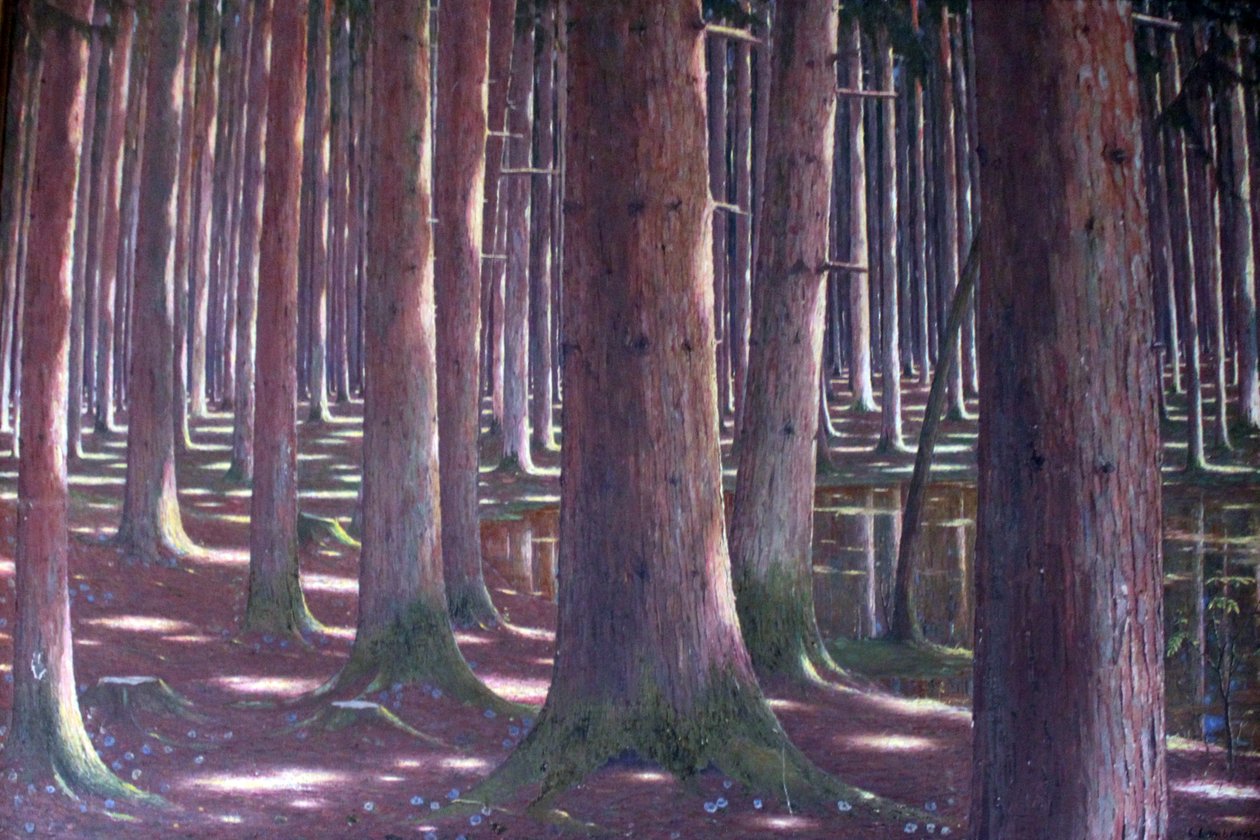Forêt d