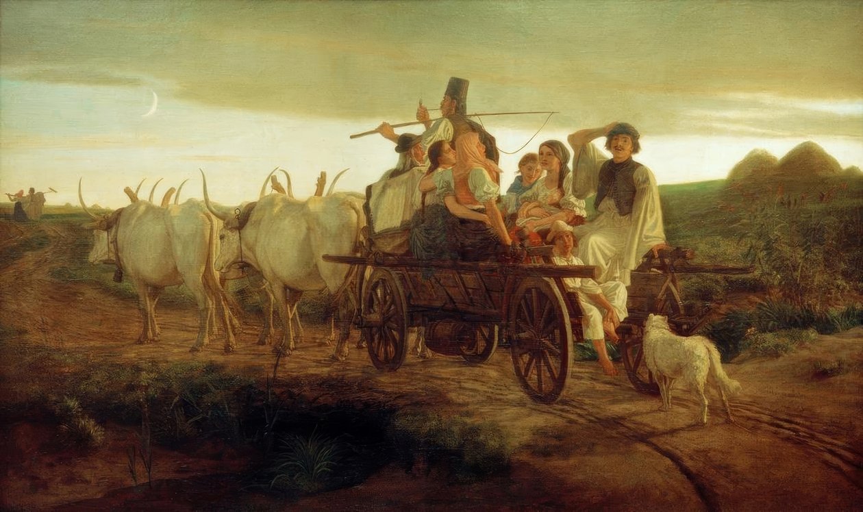 Attelage de bœufs - Karl Lotz