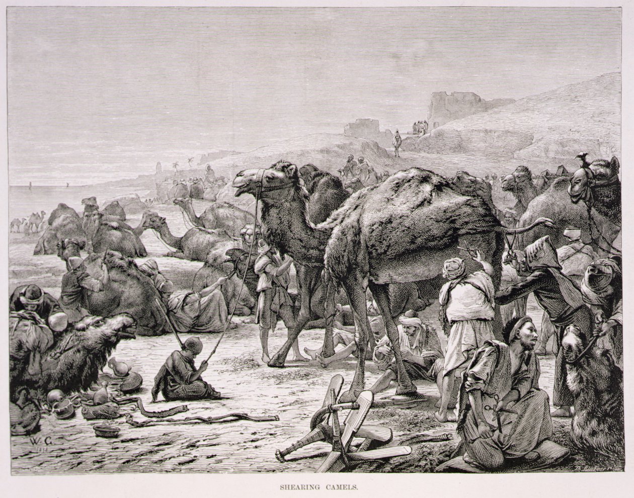 Tonte des chameaux - Karl Wilhelm Gentz