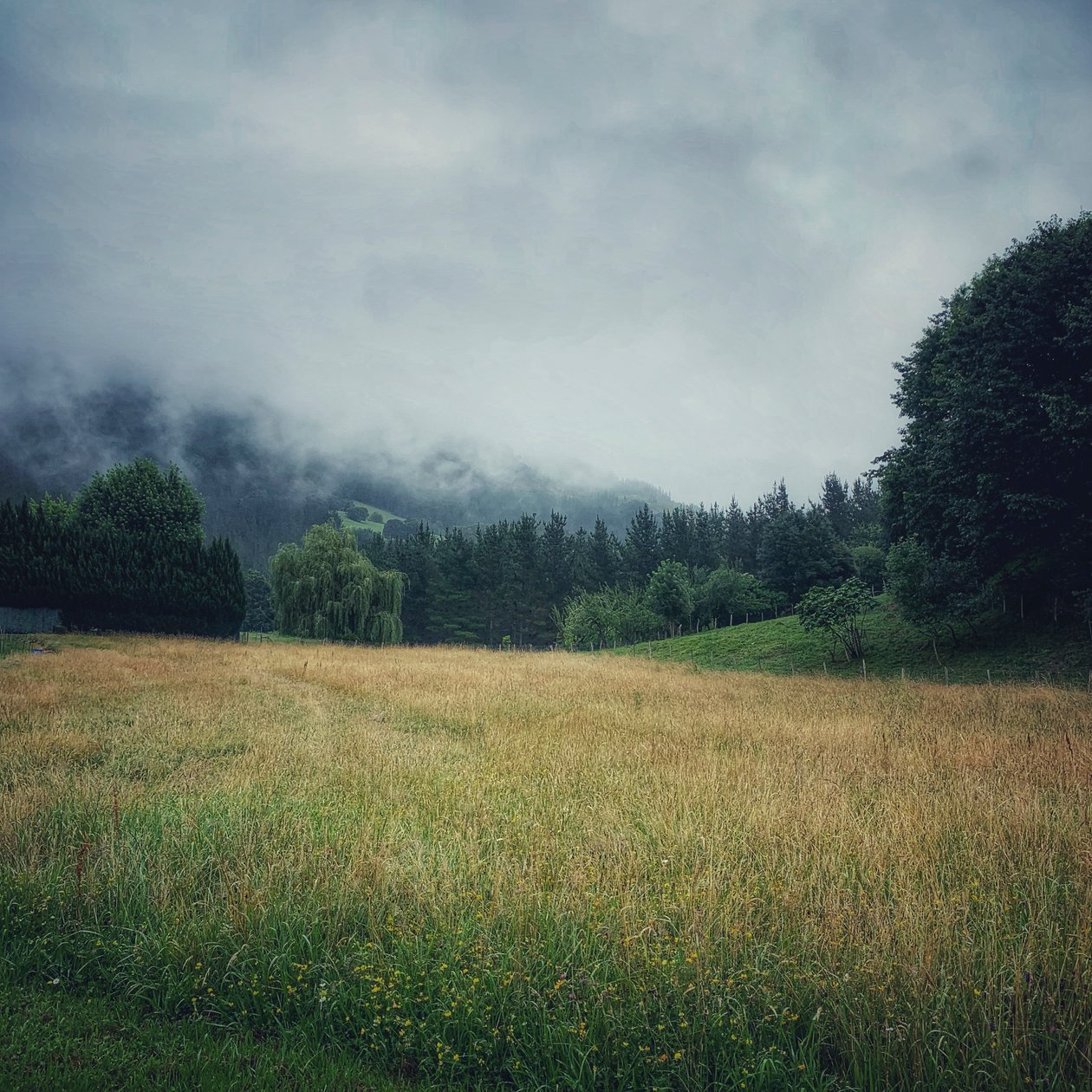 Monts Brumeux, 2021 (photo) - Katha Wood