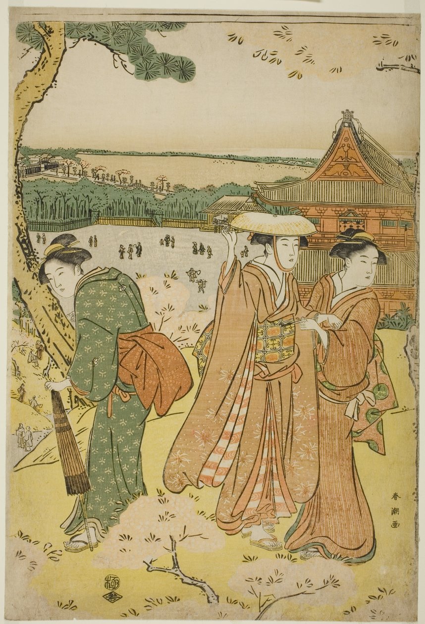Contemplation des cerisiers en fleurs à Ueno - Katsukawa Shuncho