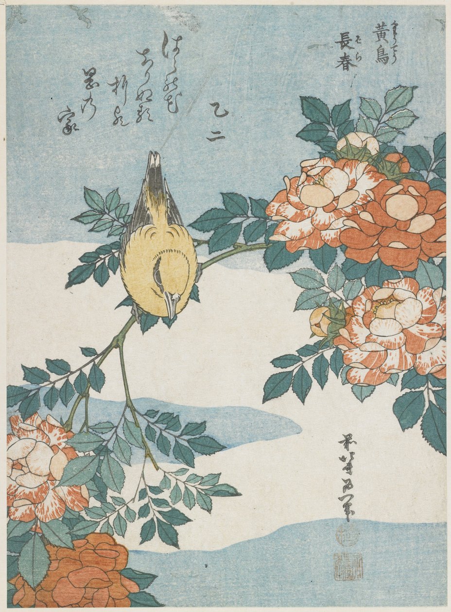 Loriot à nuque noire et rose de Chine, vers 1833 - Katsushika Hokusai