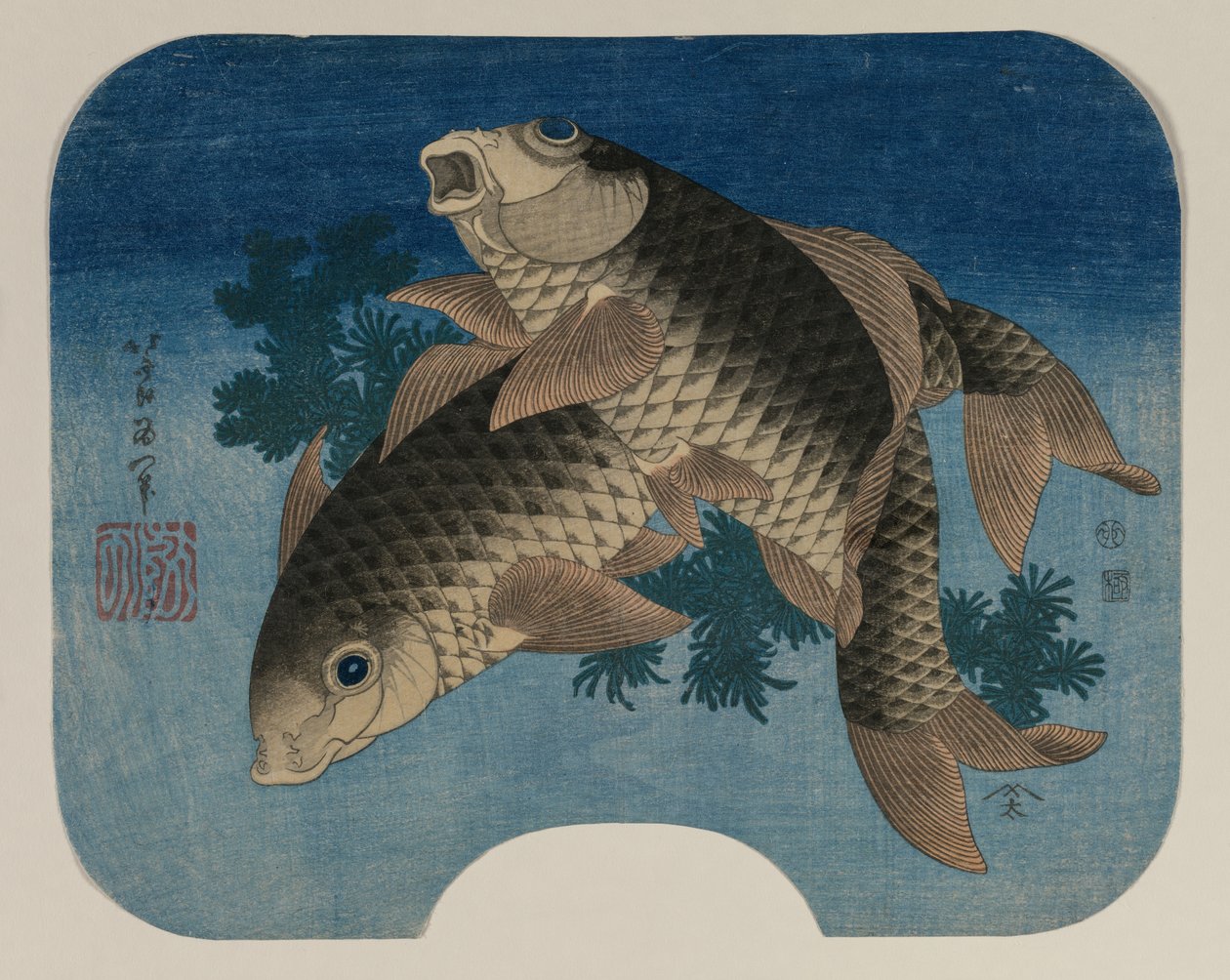 Carpe nageant parmi les herbes aquatiques - Katsushika Hokusai