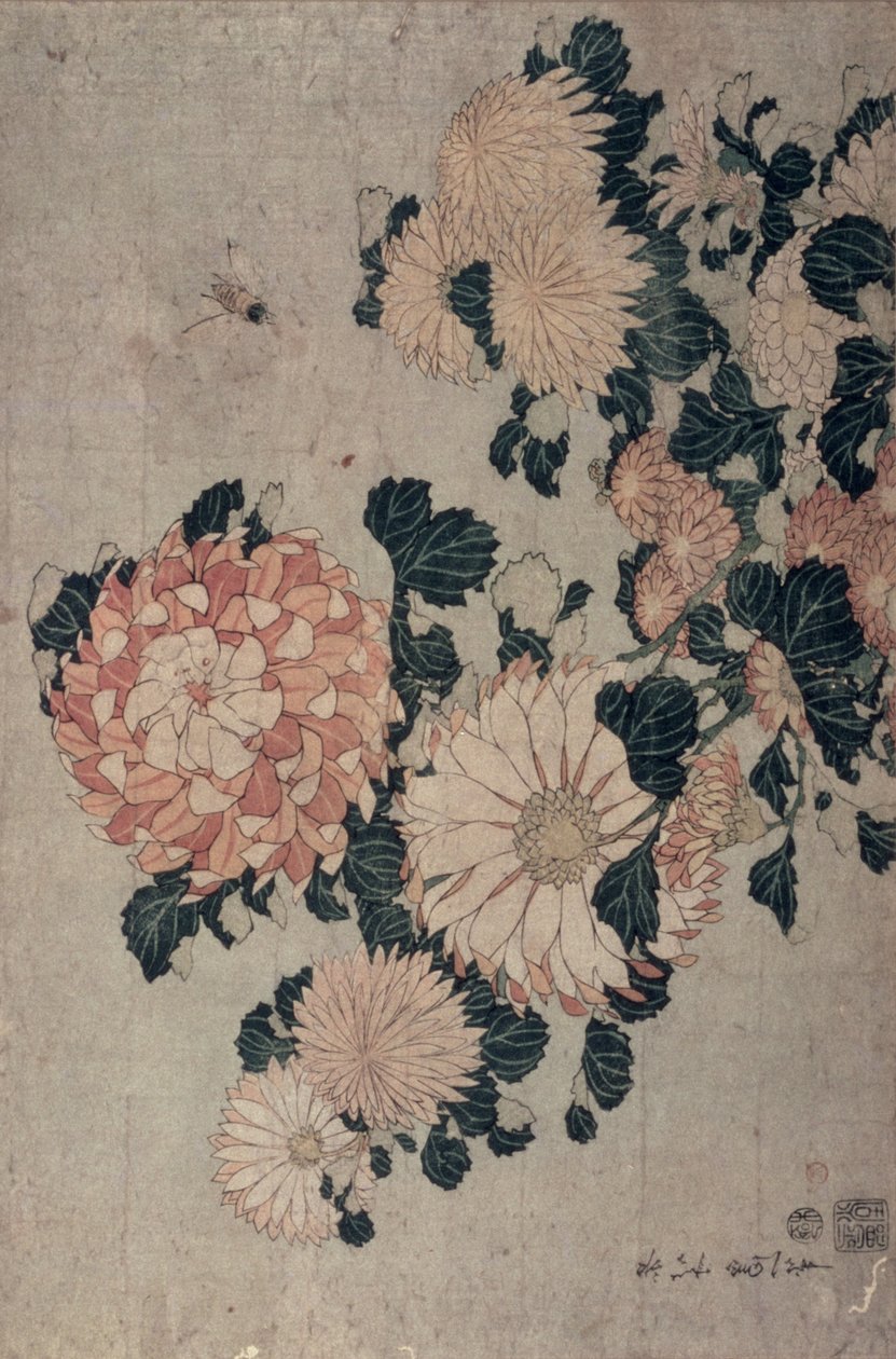 Chrysanthèmes - Katsushika Hokusai