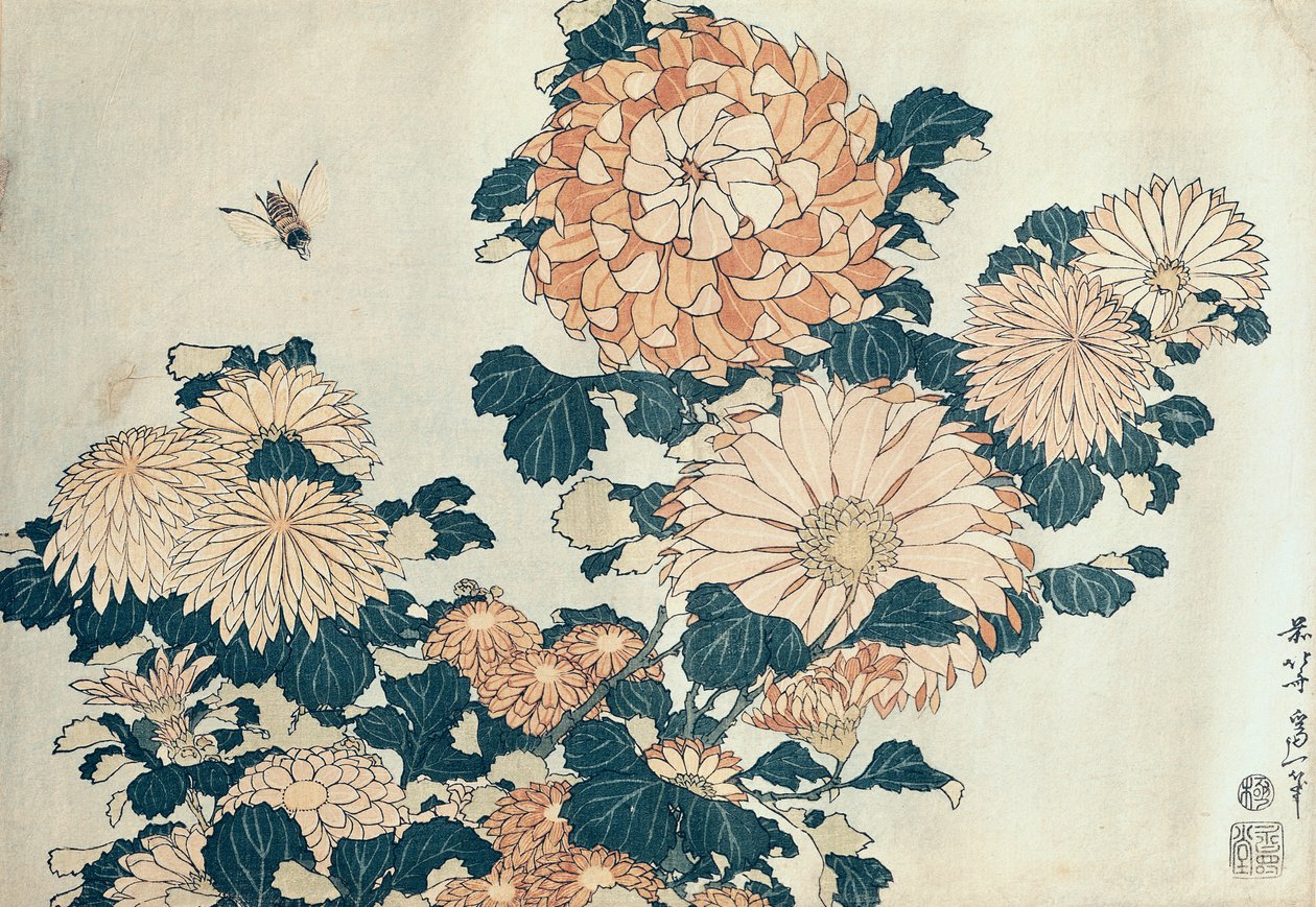Chrysanthèmes - Katsushika Hokusai