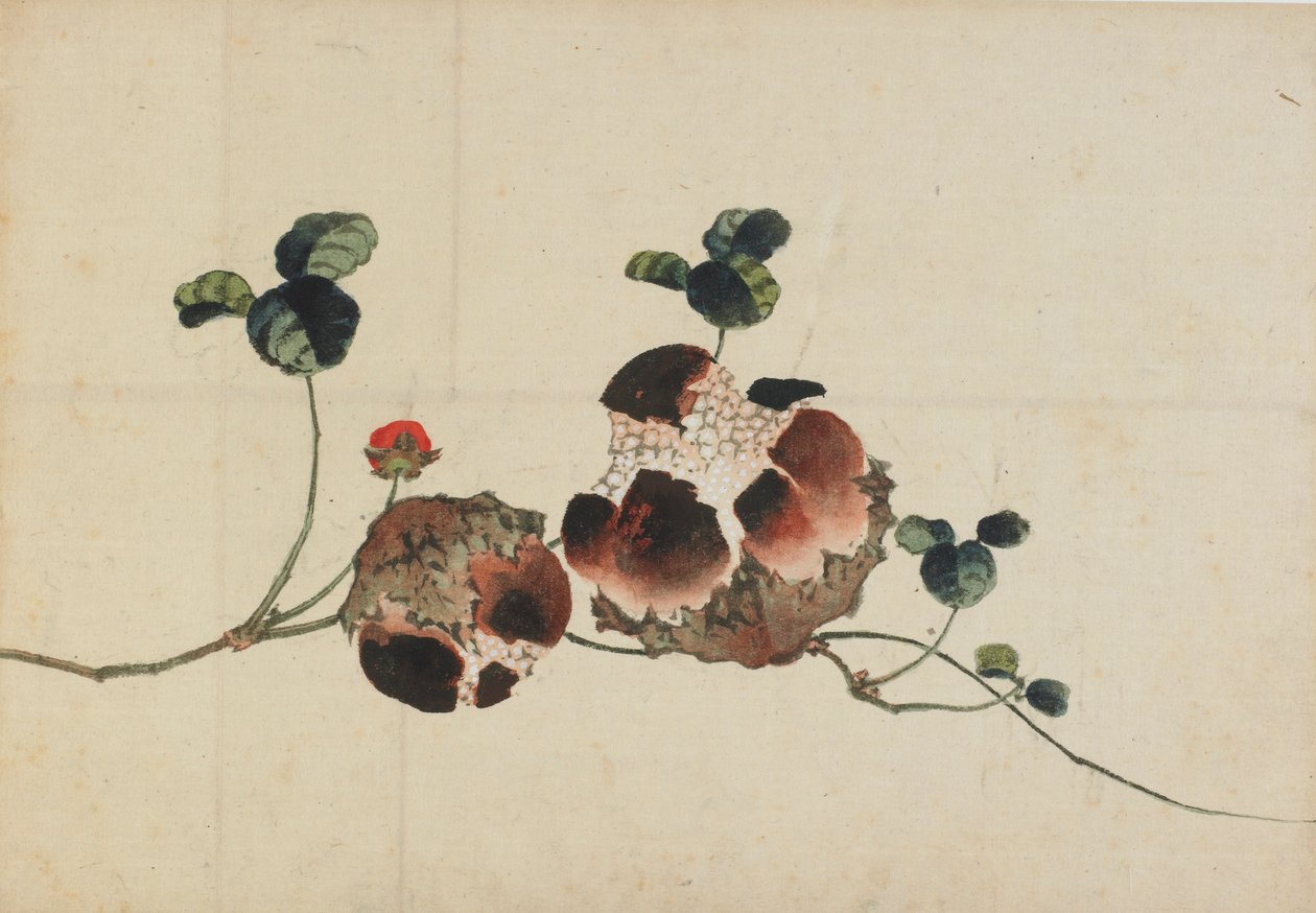 Grenades, fin 18e-début 19e siècle - Katsushika Hokusai