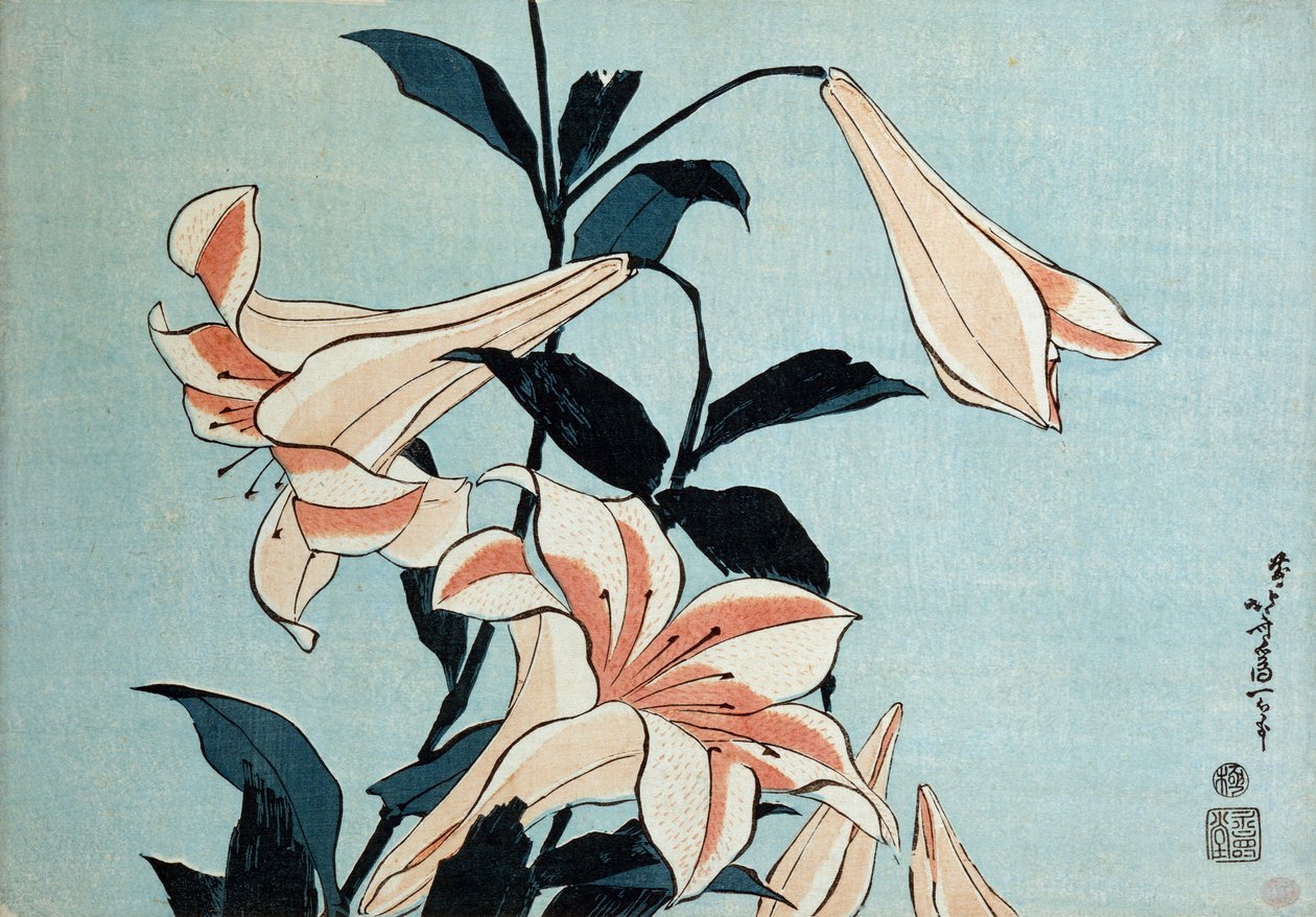 Lys trompette - Katsushika Hokusai