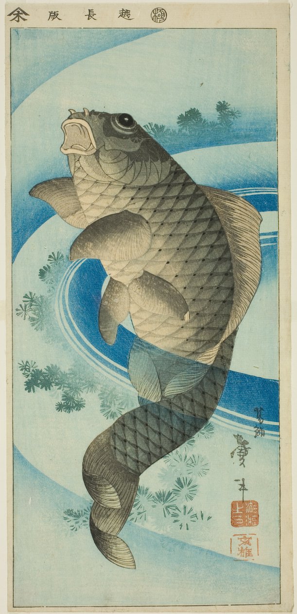 Carpe - Katsushika Taito II