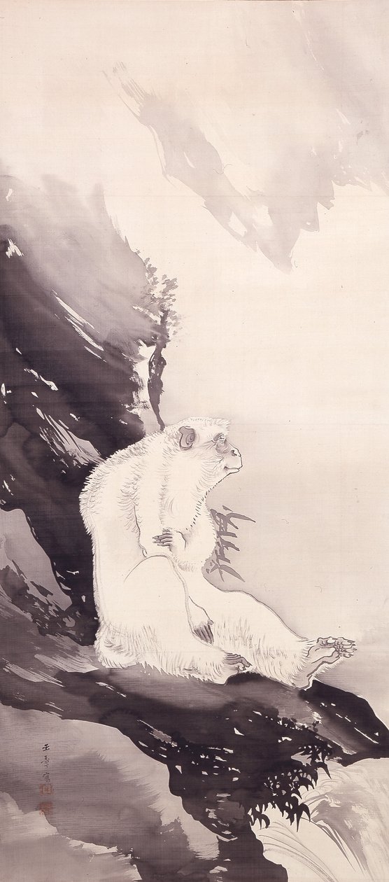 Singe Blanc - Kawabata Gyokushō