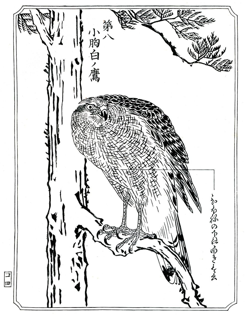 Un faucon, 1898 - Kawanabe Kyosai