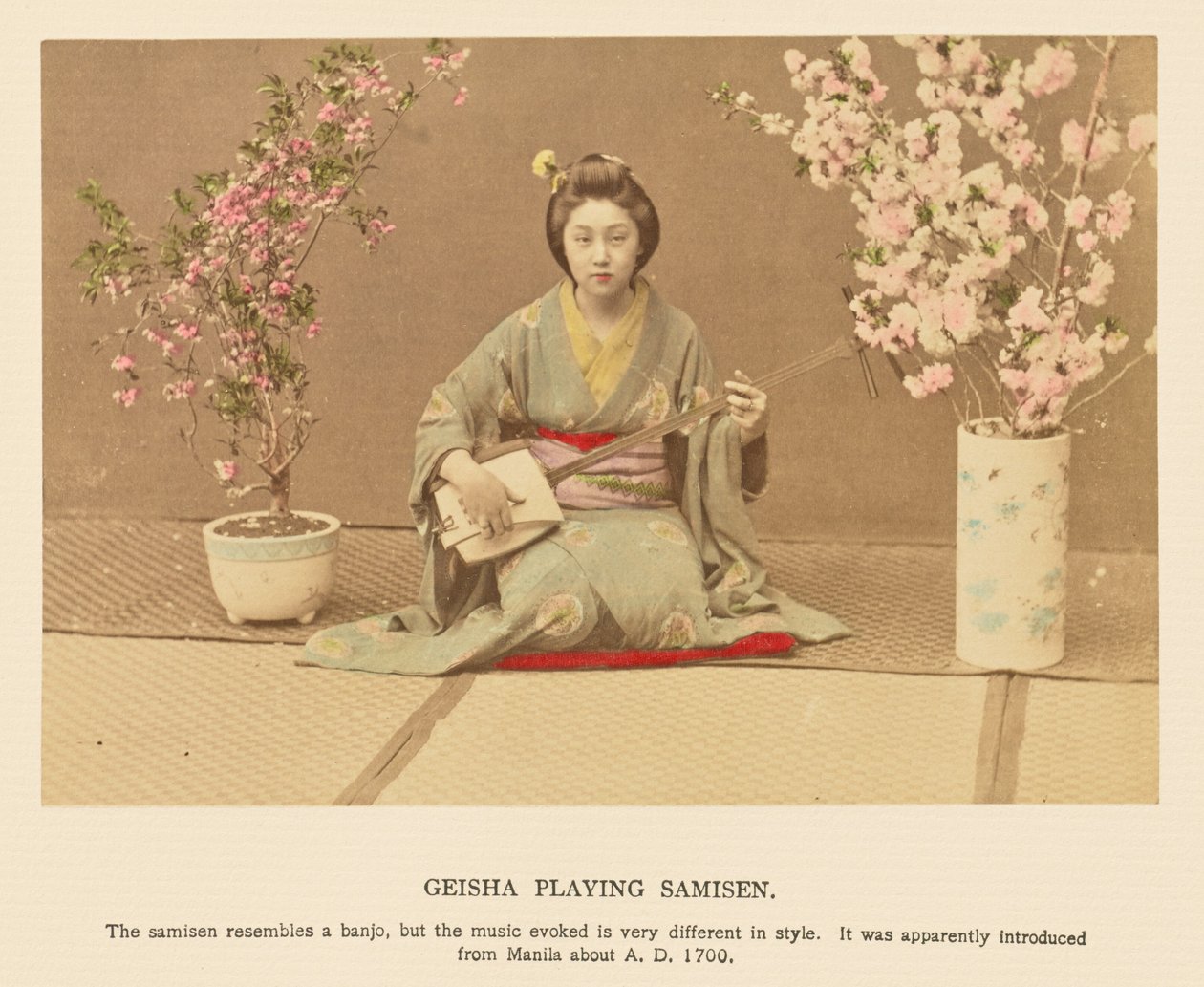 Geisha jouant du Samisen - Kazumasa Ogawa