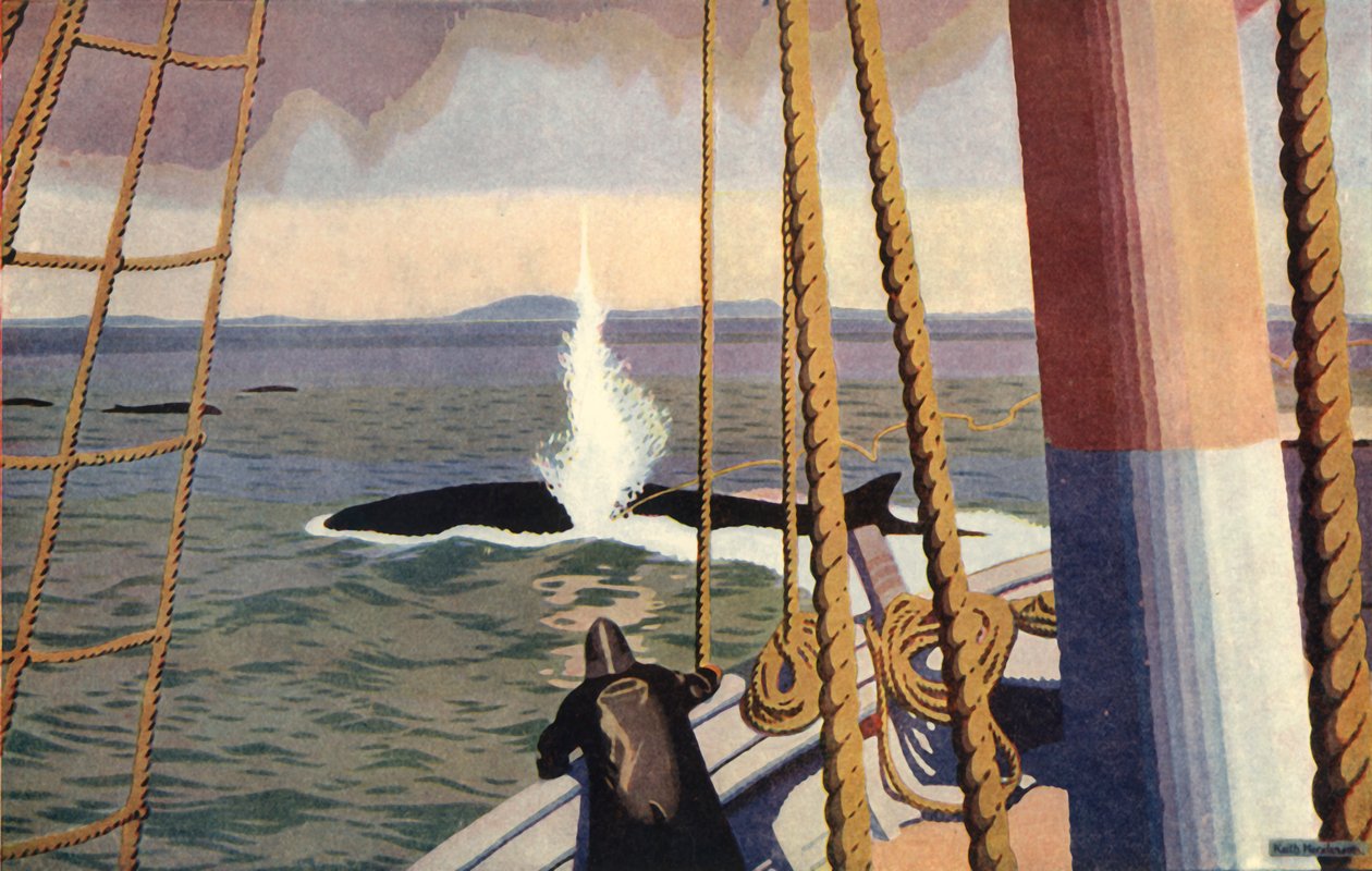 Chasse à la baleine en Antarctique - Keith Henderson