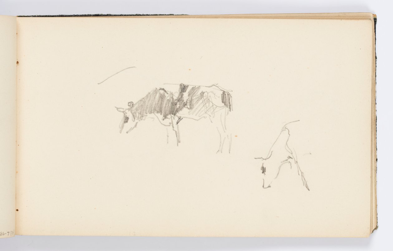 Page de carnet de croquis : Vaches broutant - Kenyon Cox