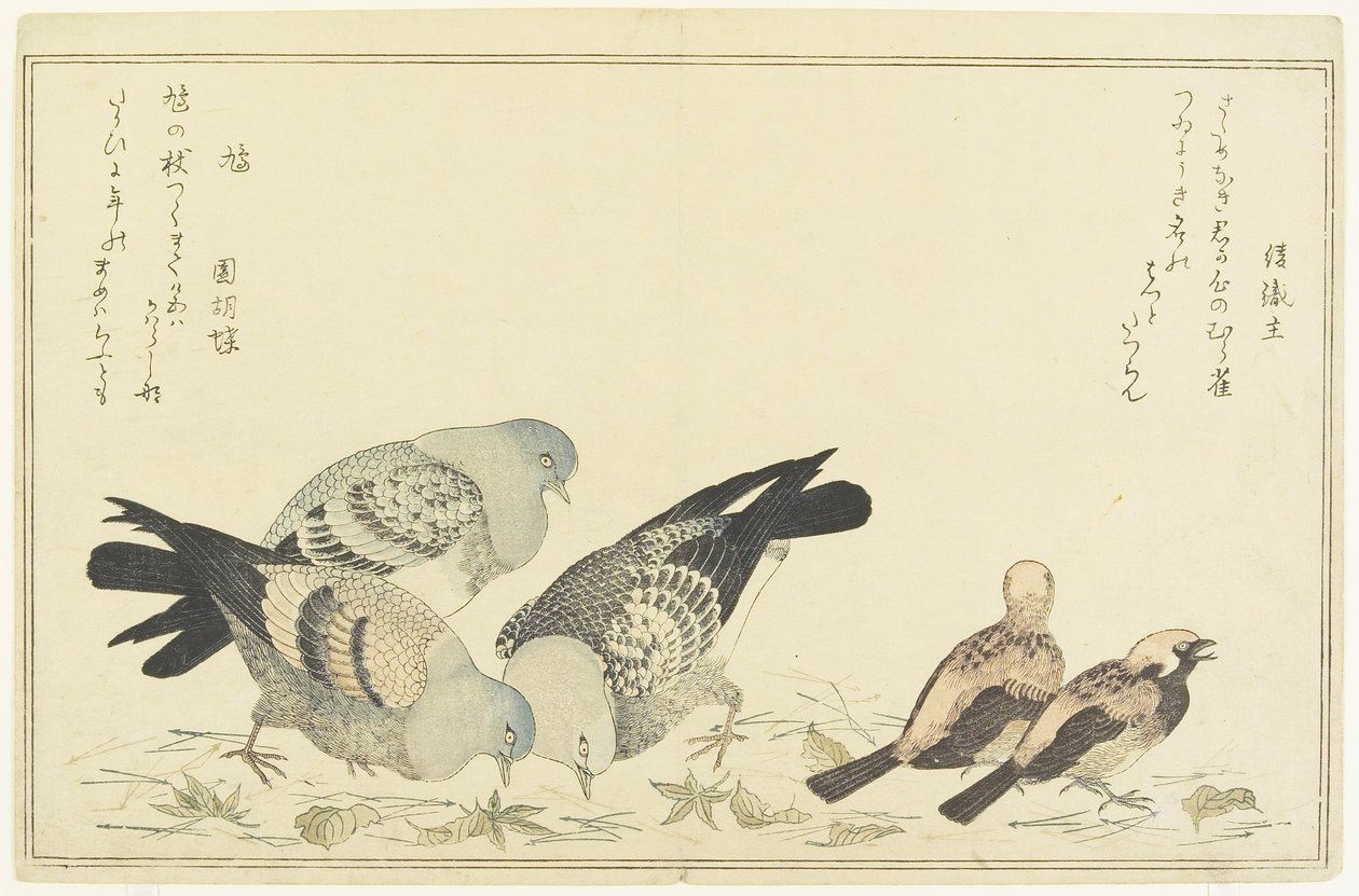 Moineau friquet et pigeon biset, c. 1790 - Kitagawa Utamaro