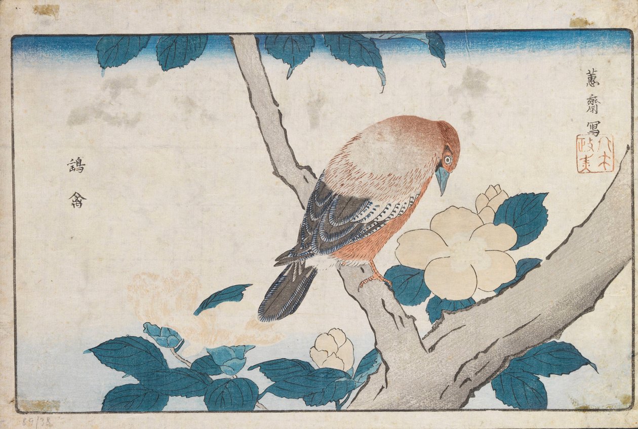 Sans titre - Kitao Masayoshi