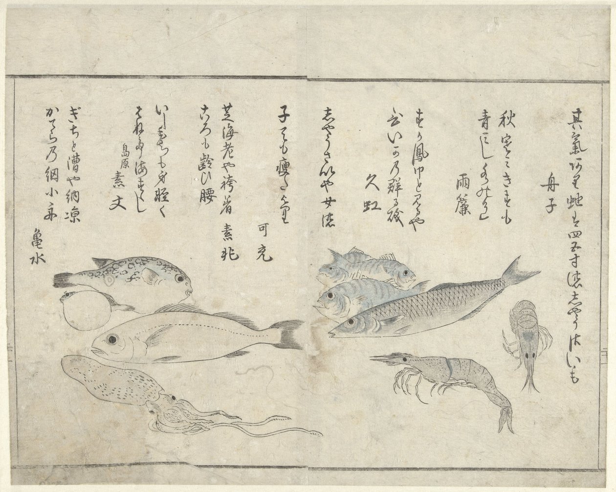 Animaux marins - Kitao Masayoshi
