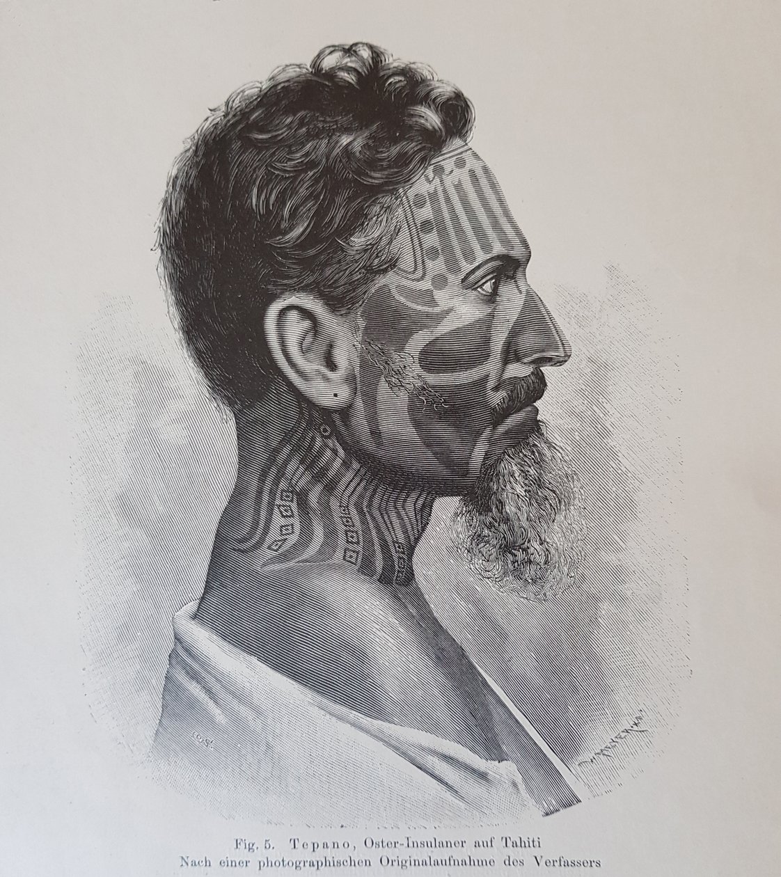 Juan Tepano, illustration de « Über die Tätowirung der Oster-Insulaner » par Hjalmar Stolpe, 1899 - Knut Hjalmar Stolpe