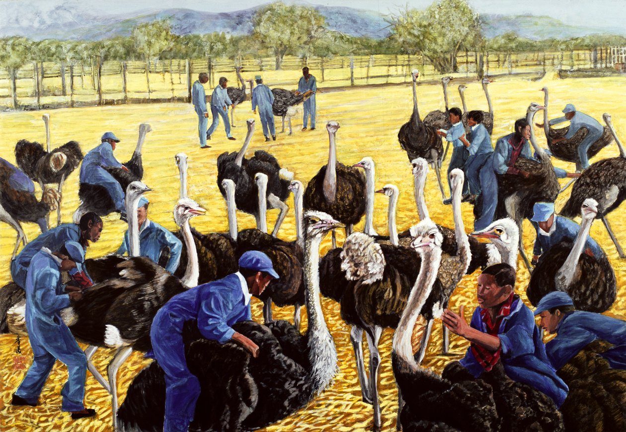 Ferme d