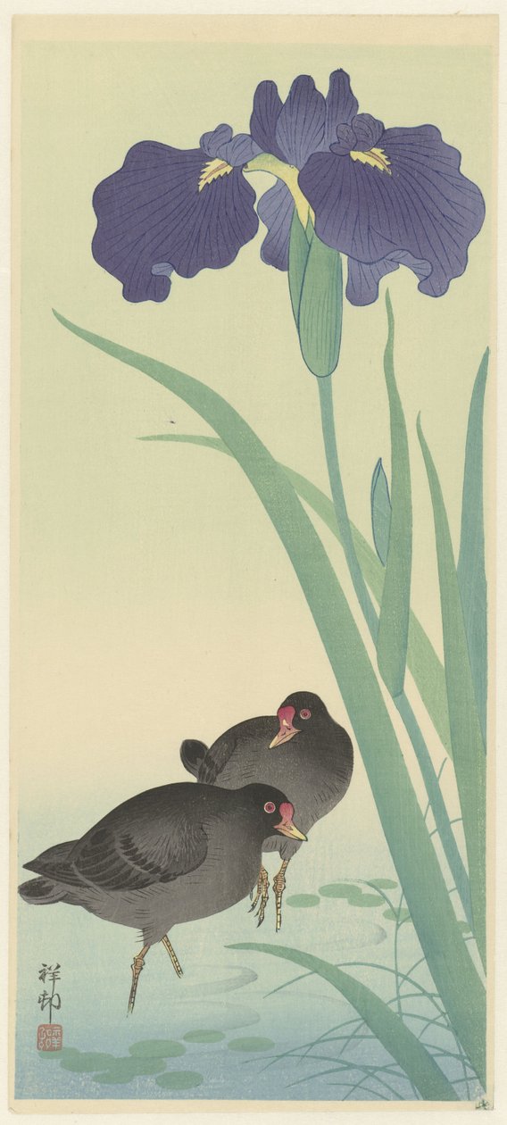 Gallinules et iris - Ohara Koson
