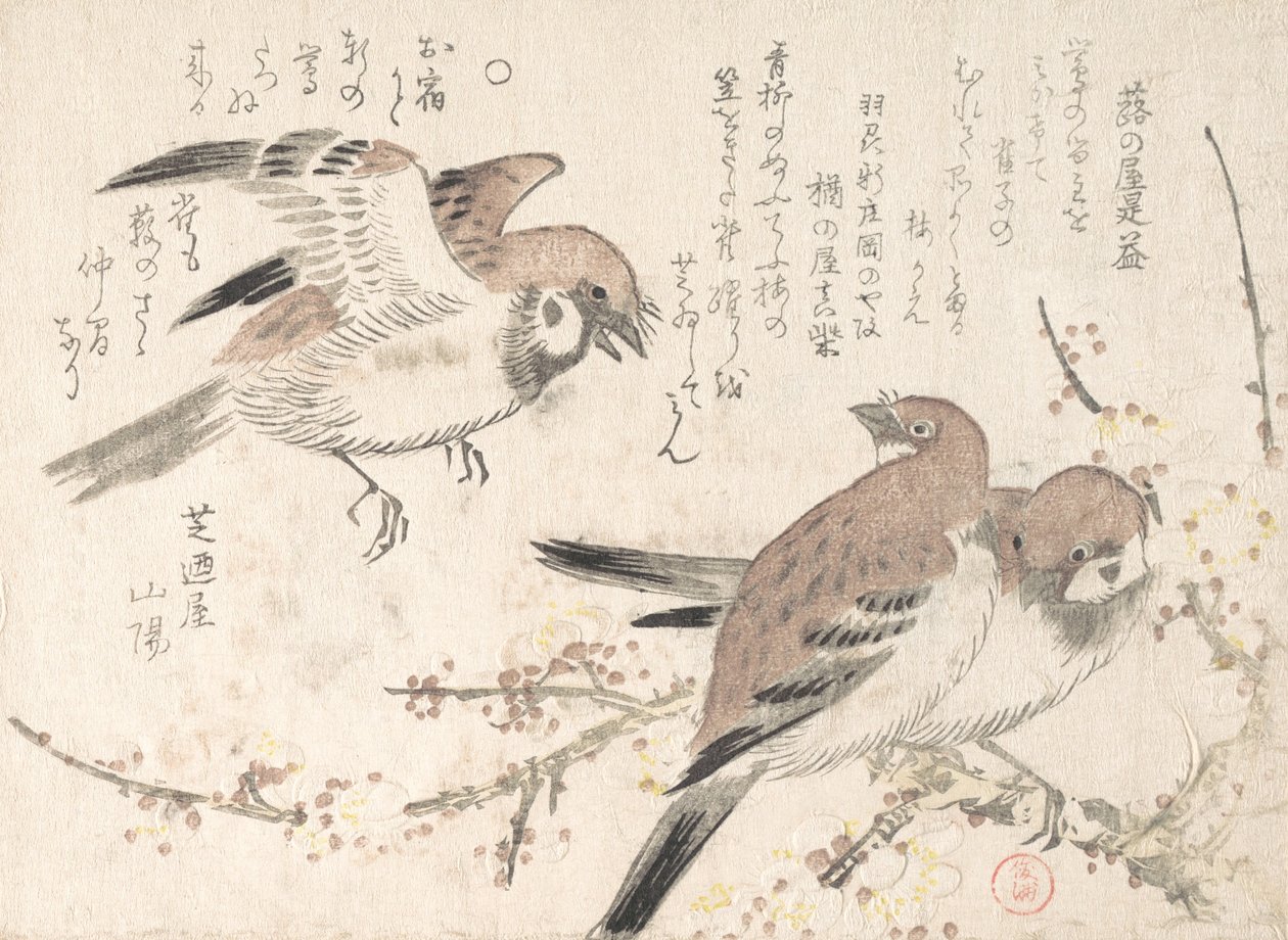 Moineaux et fleurs de prunier, XIXe siècle - Kubo Shunman