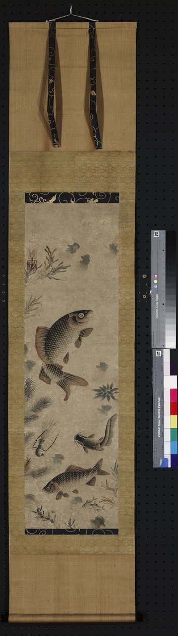 Poissons dans un lac - Laian Laian